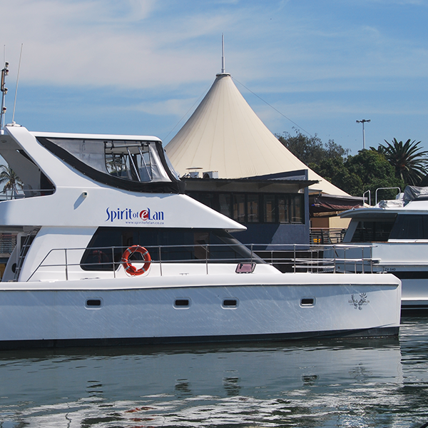 The Best Fishing And Entertainment Charter In Durban Spirt Of Elan